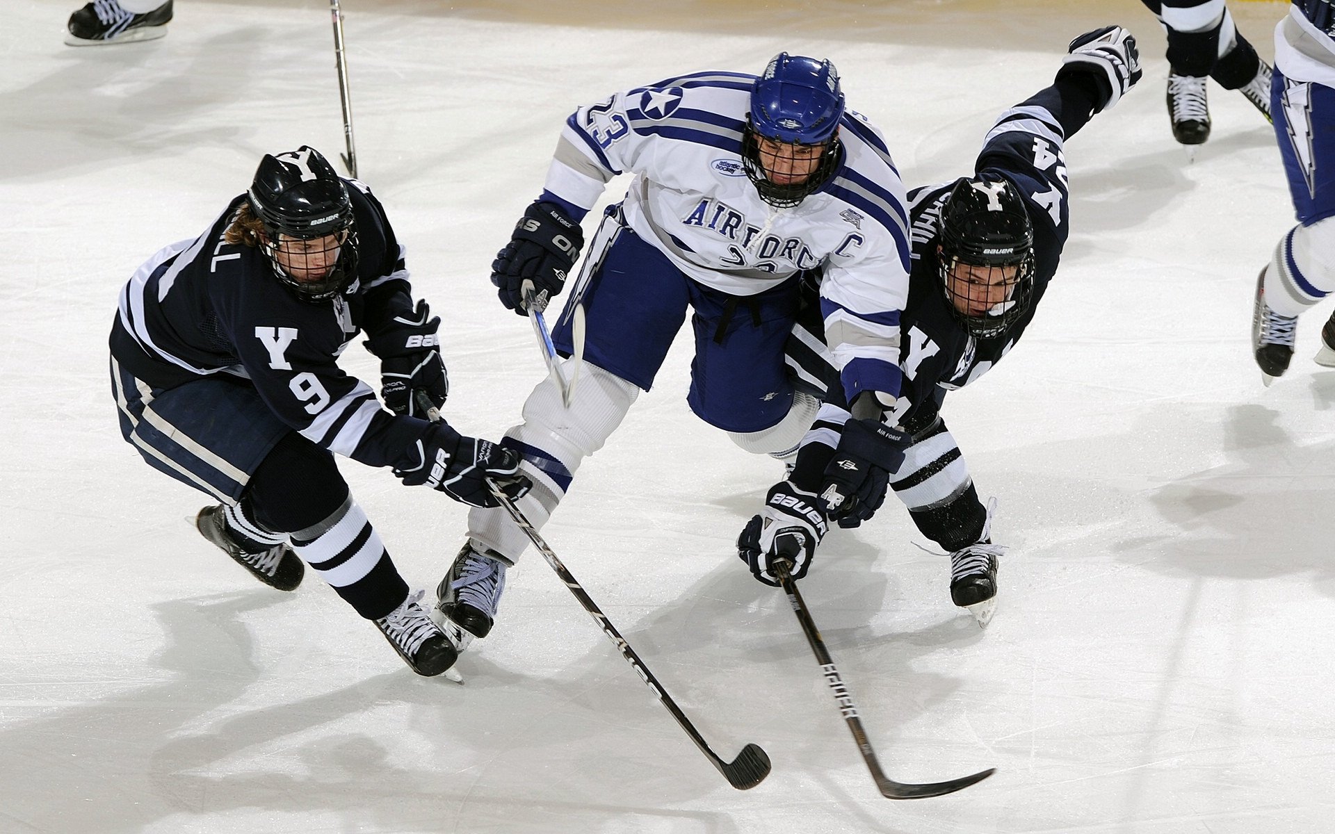 AC MILAN APP-体育新闻中心优化体育赛事直播信号传输技术，体育直播信号源