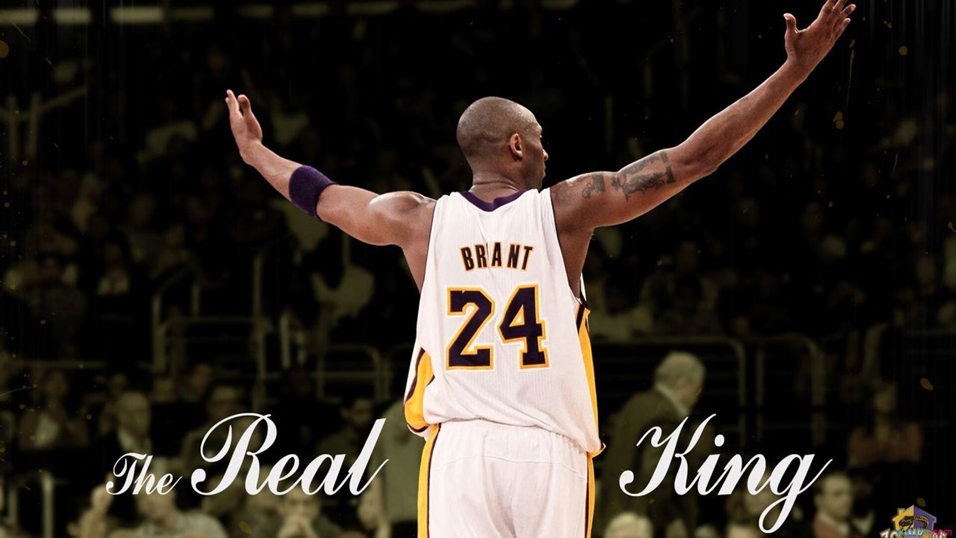 雄鹿核心球员状态回升